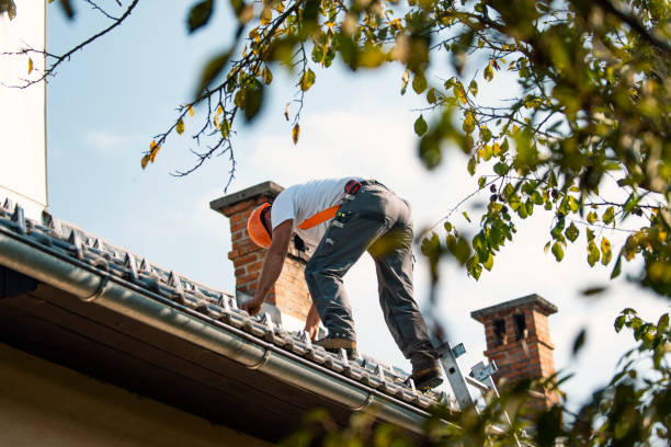 Best Flat Roof Repair Services  in Lemont, IL