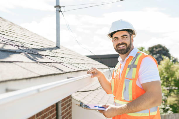 Best Roof Gutter Cleaning  in Lemont, IL